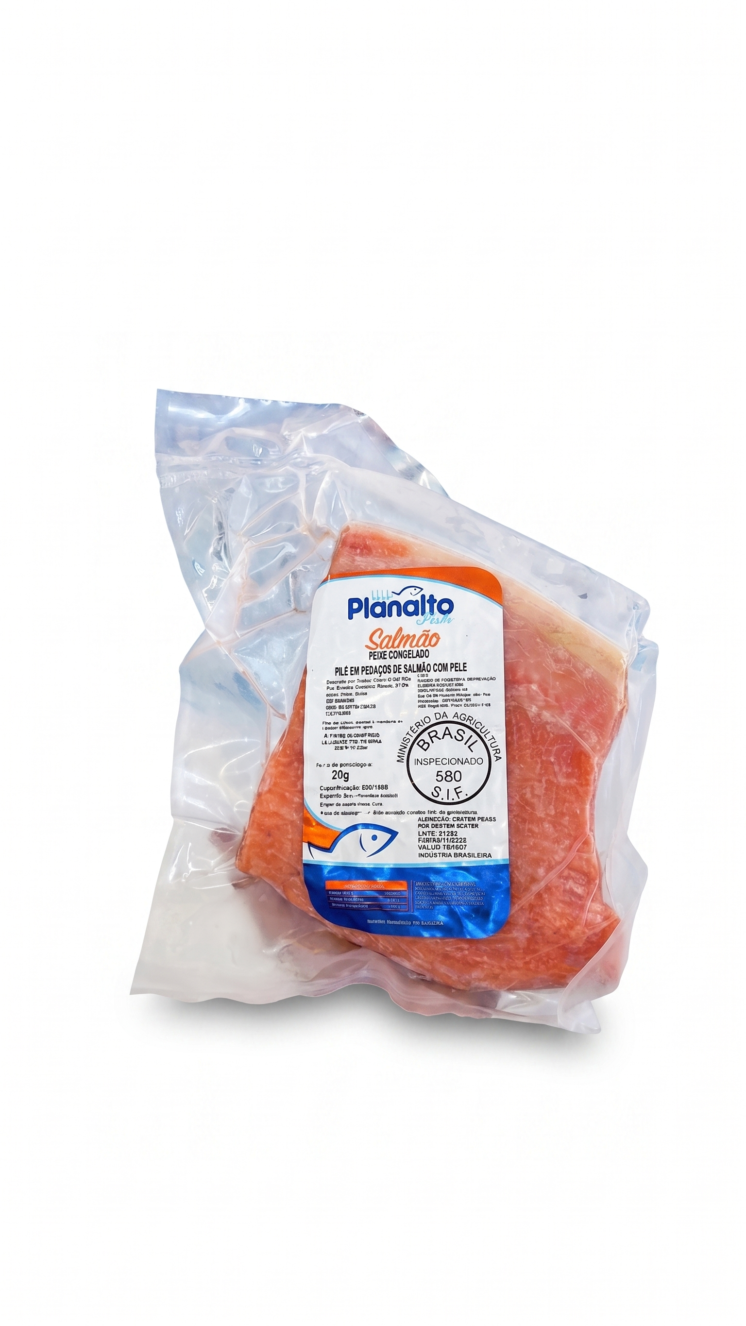 Salmão em pedaço